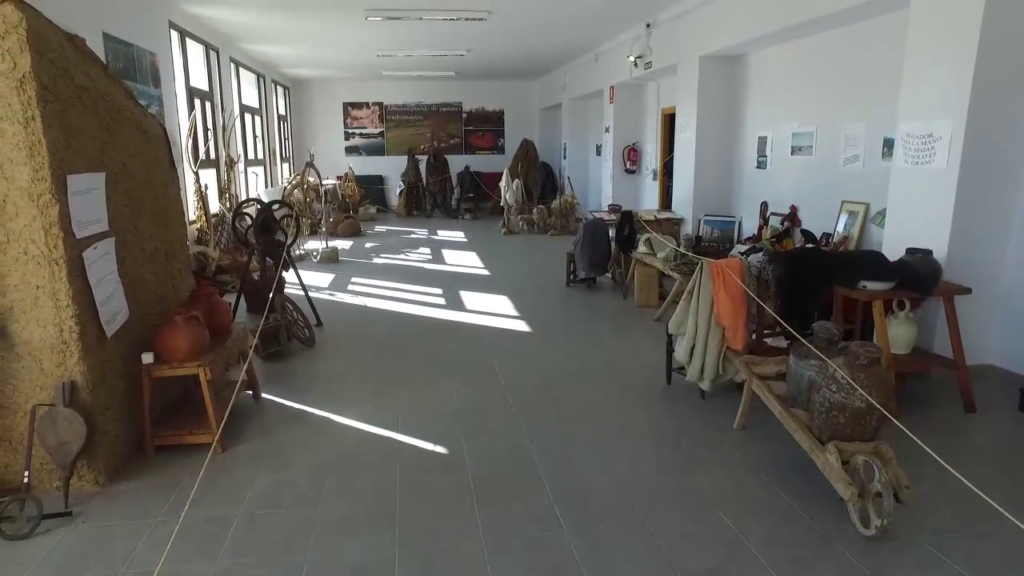 Galería Museo