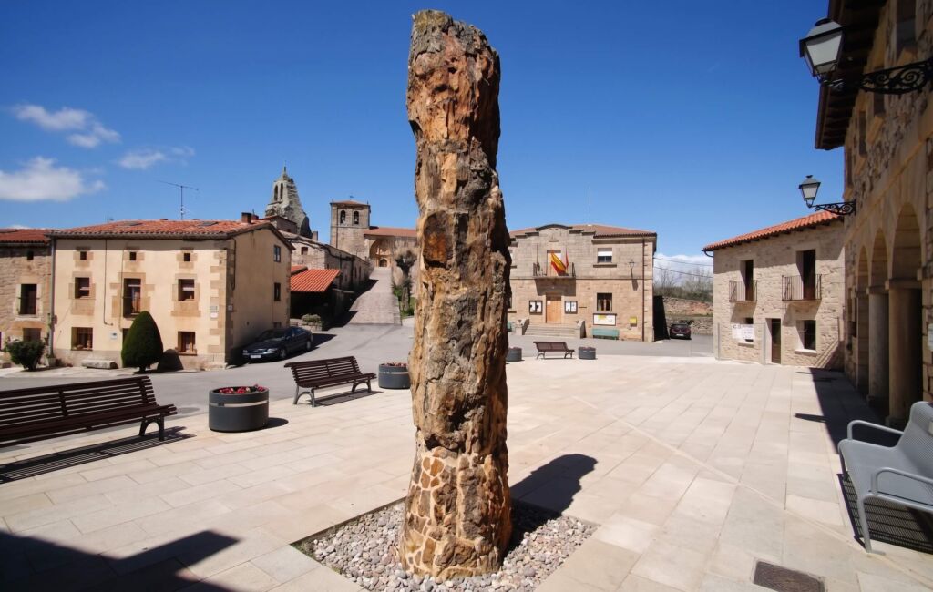 Galería Museo