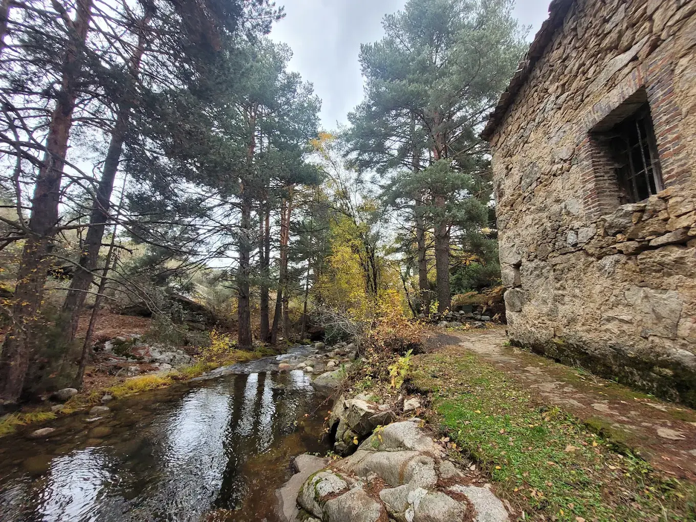 Vista exterior del edificio de piedra del Martinete de Navafría junto al cauce del río Cega, rodeado de un frondoso pinar y vegetación de ribera.