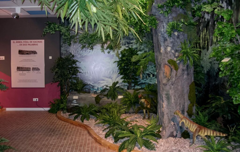 Galería Museo