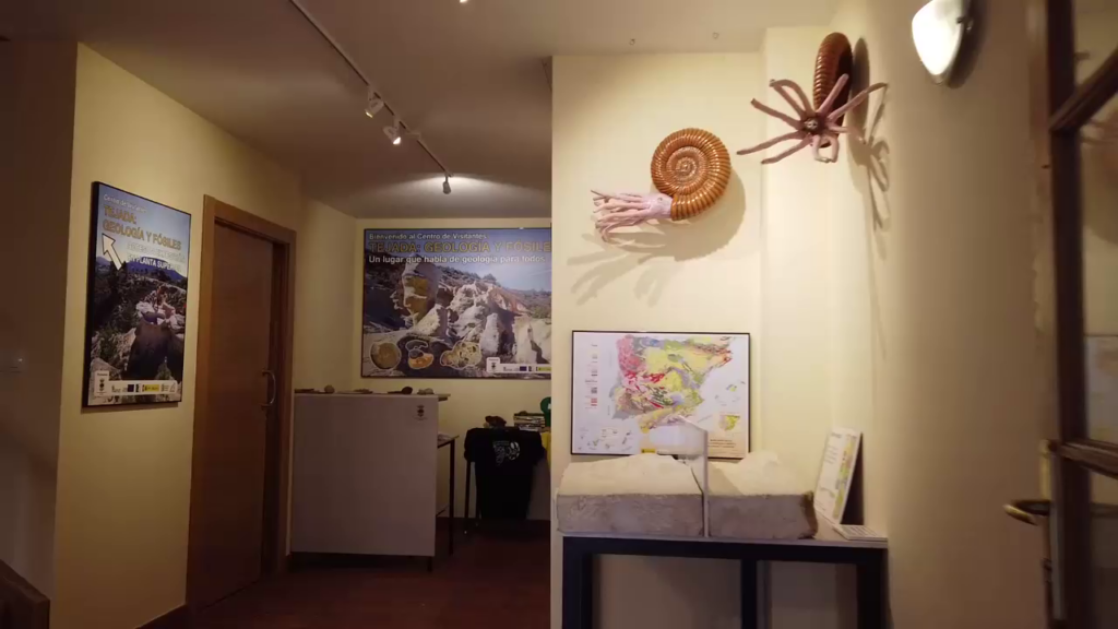 Galería Museo