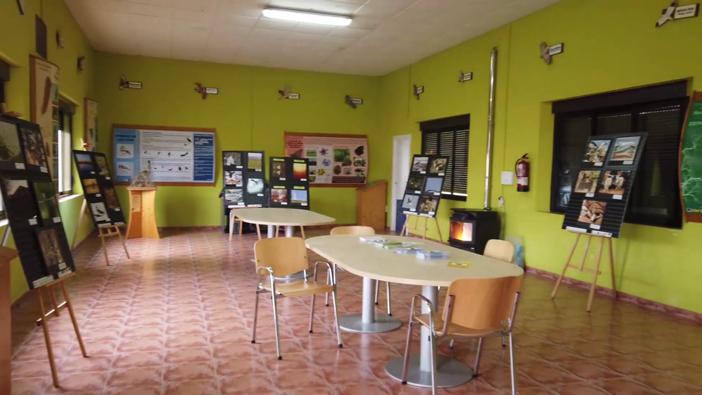 Galería Museo