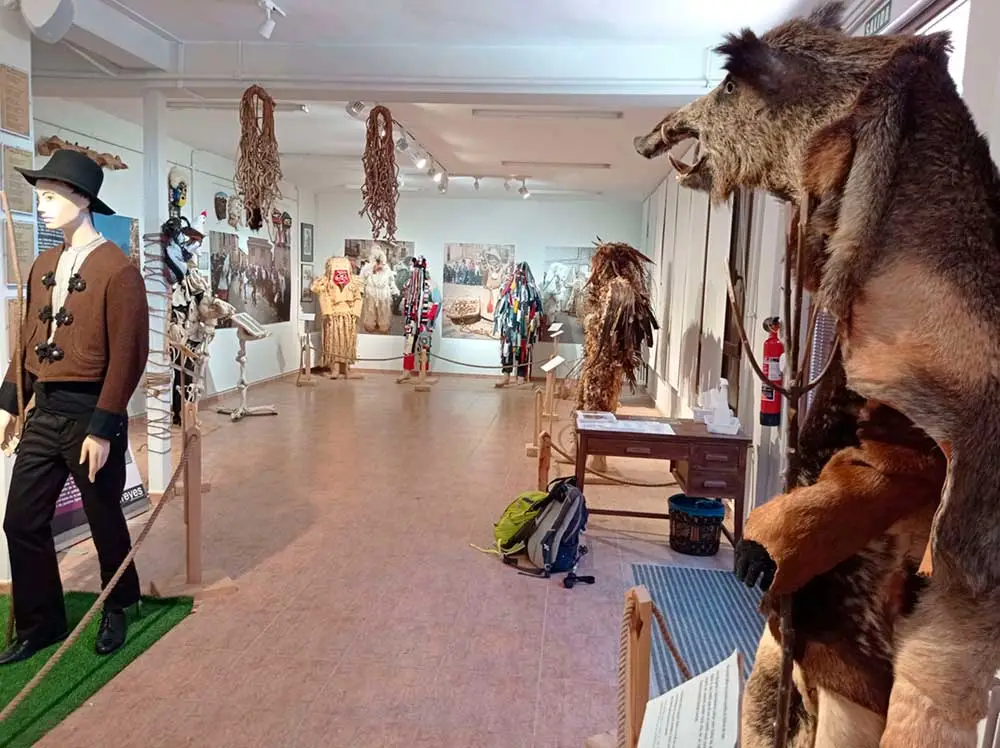 Galería Museo