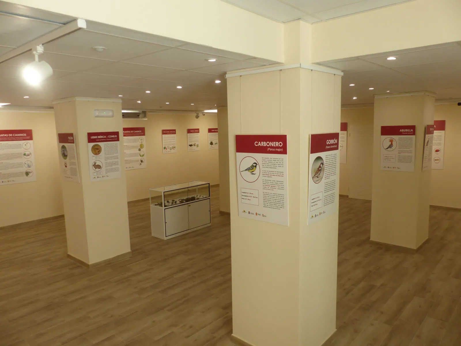 Vista general de las instalaciones y el entorno del Museo Vivo en Torresandino, Burgos.