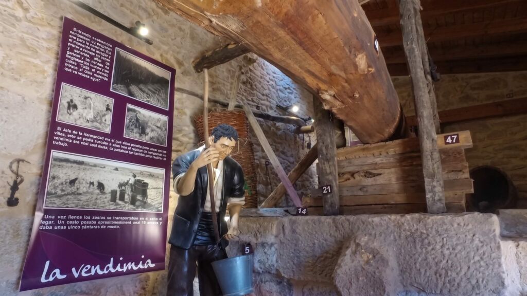 Galería Museo