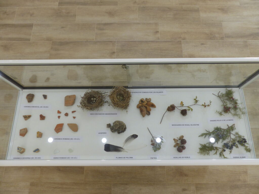 Galería Museo
