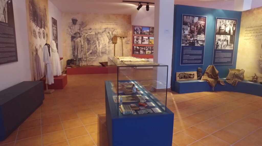 Galería Museo