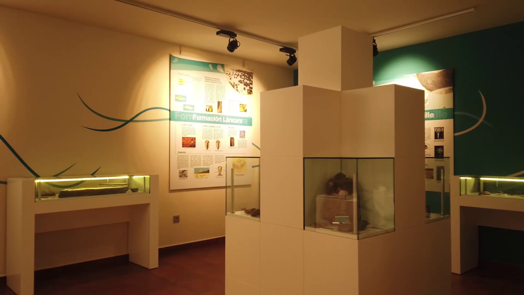 Galería Museo