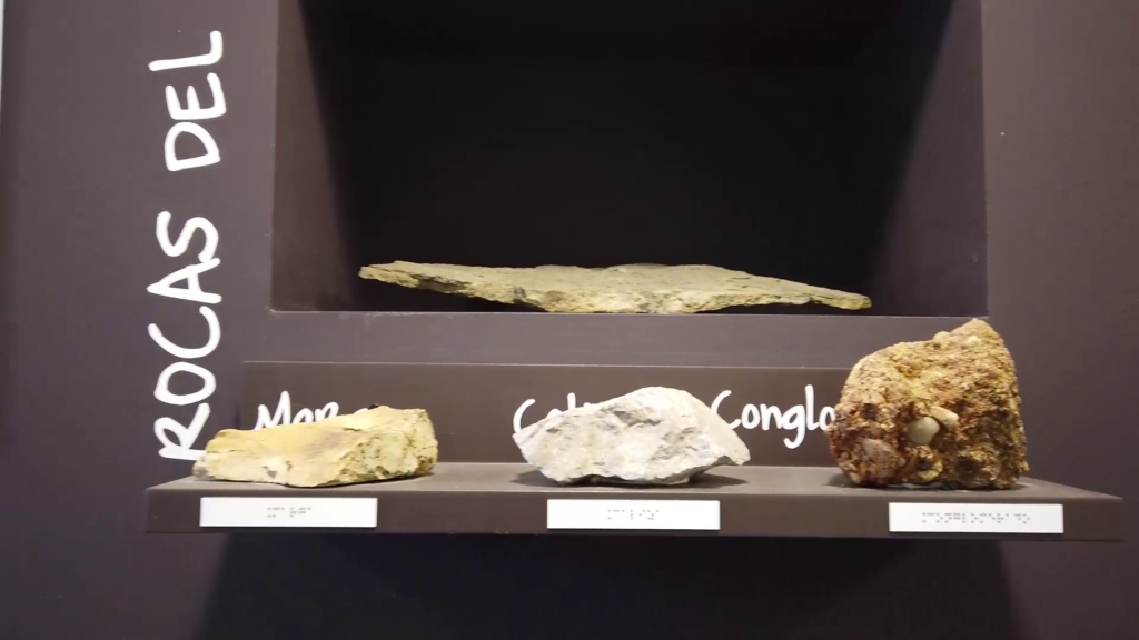 Galería Museo