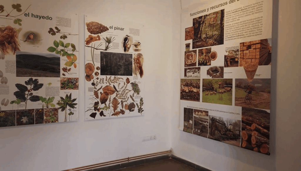 Galería Museo