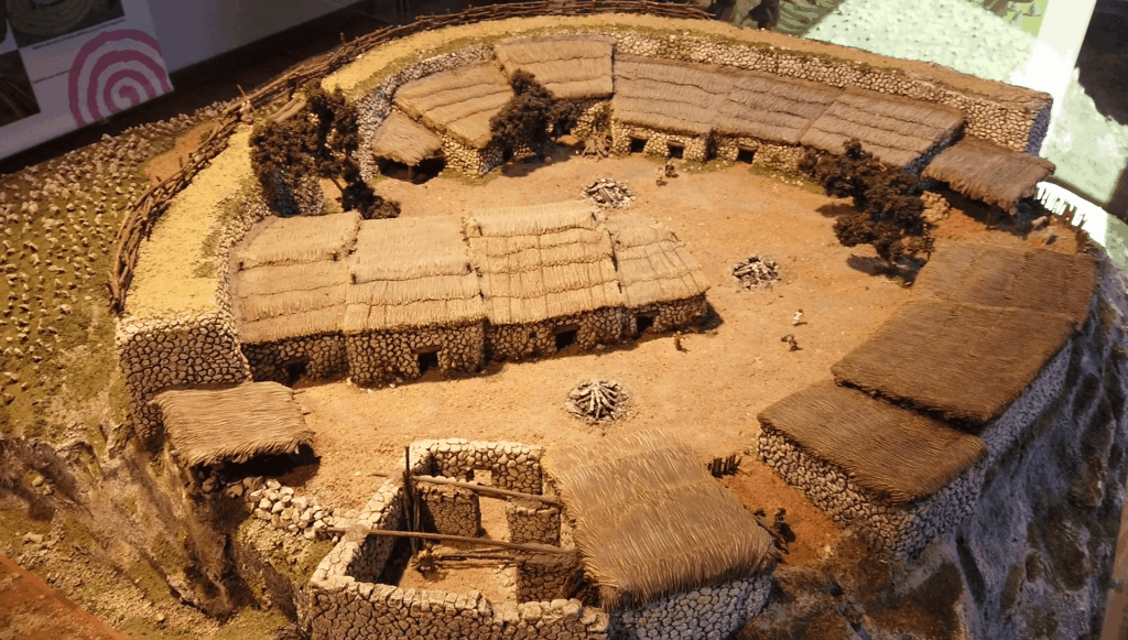 Galería Museo