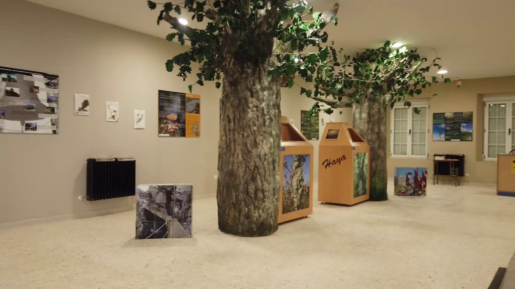 Galería Museo