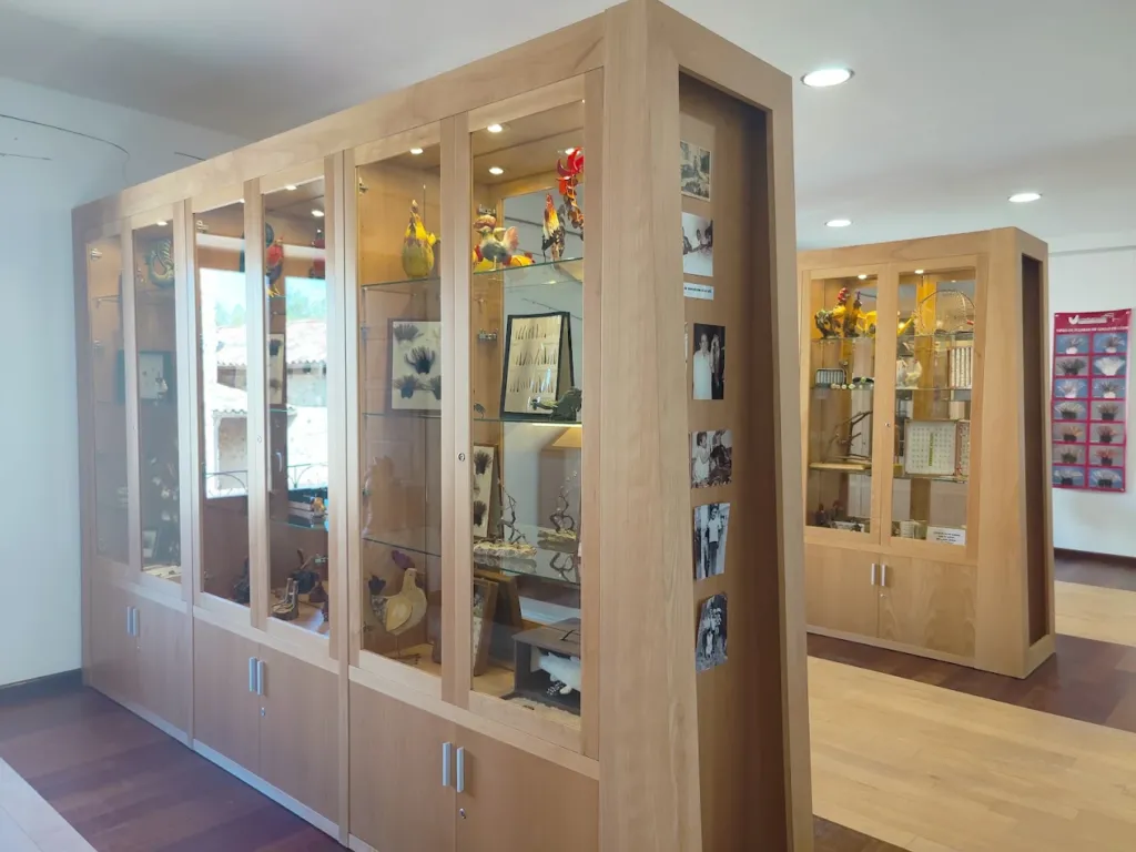 Galería Museo