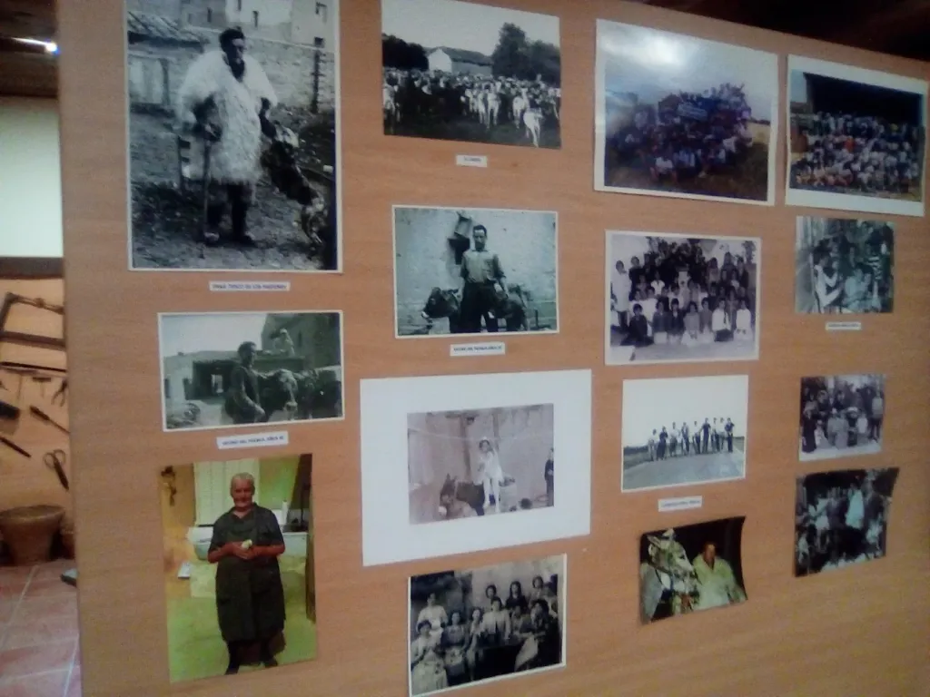 Galería Museo