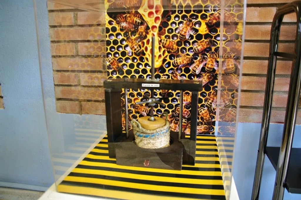 Galería Museo