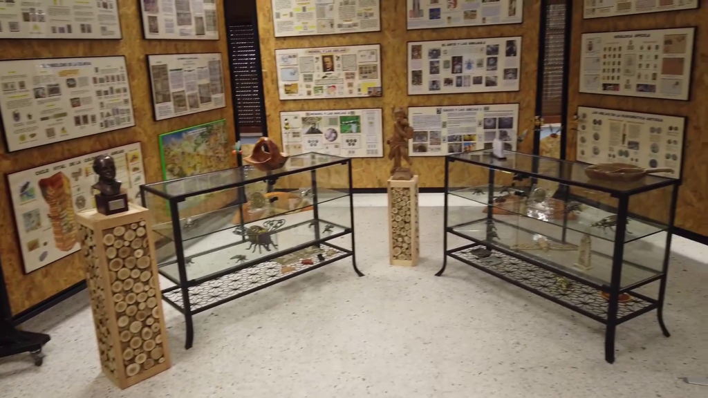 Galería Museo