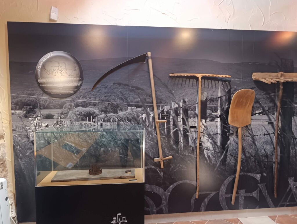 Galería Museo