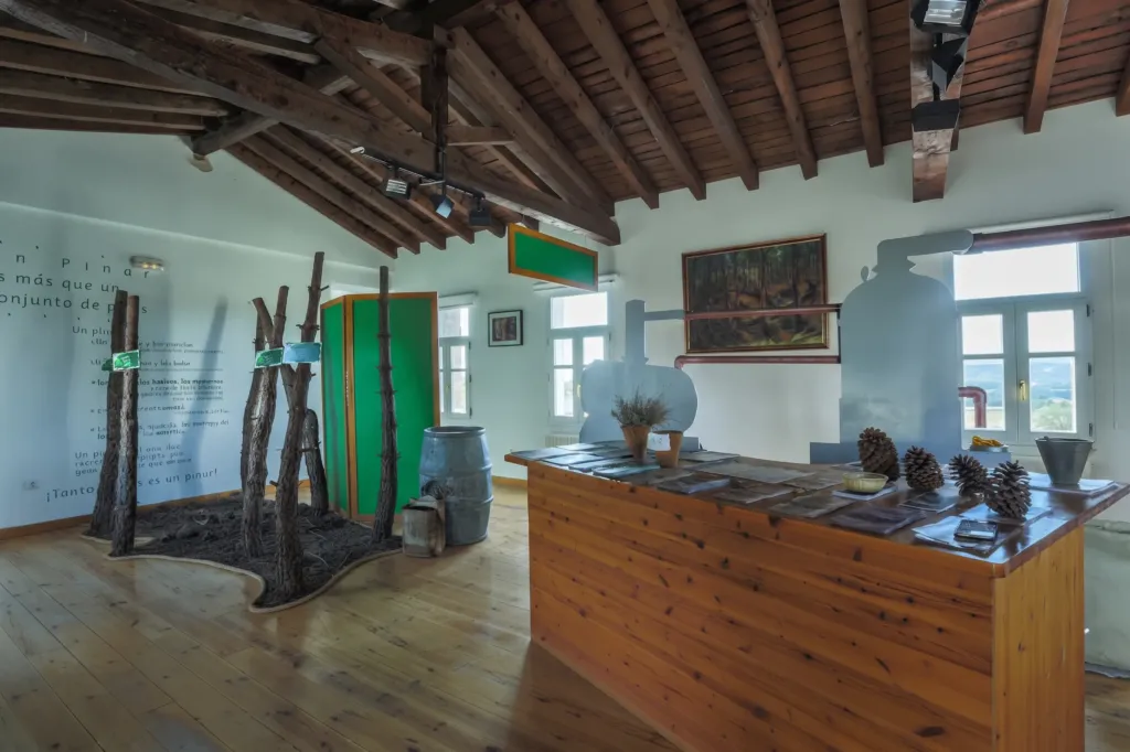 Galería Museo