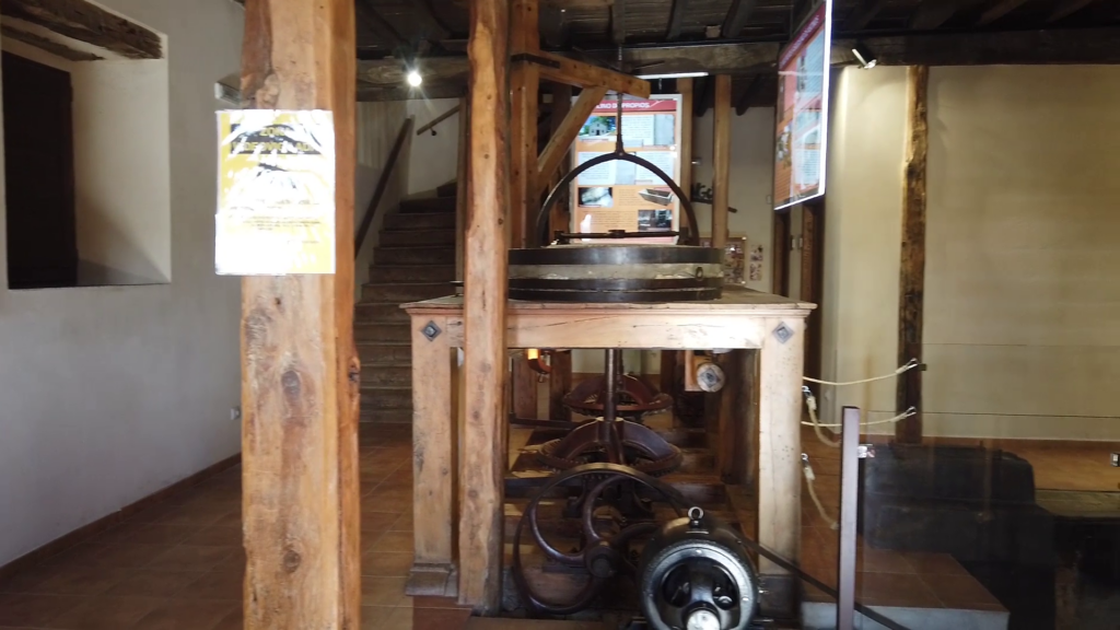 Galería Museo