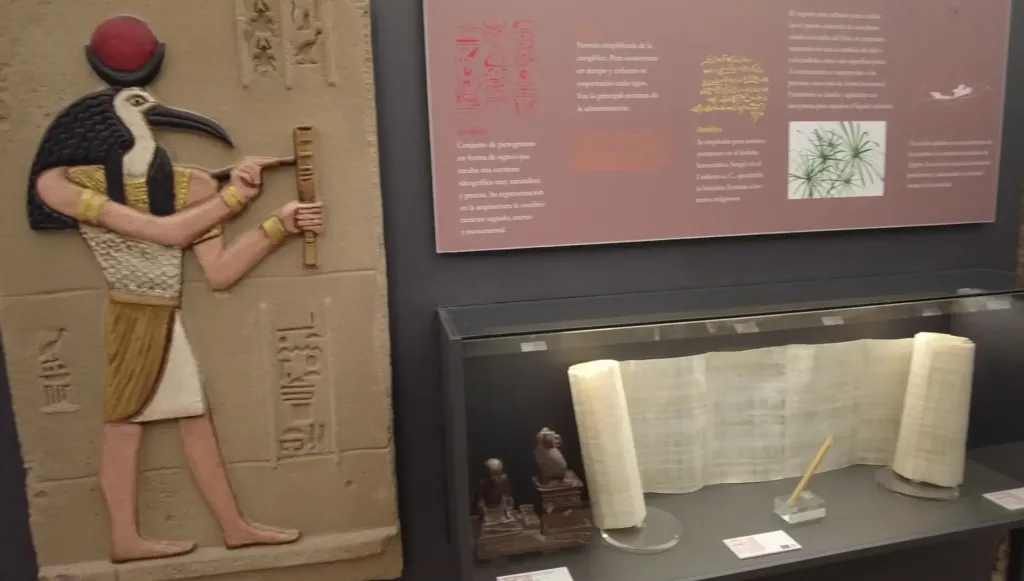 Galería Museo