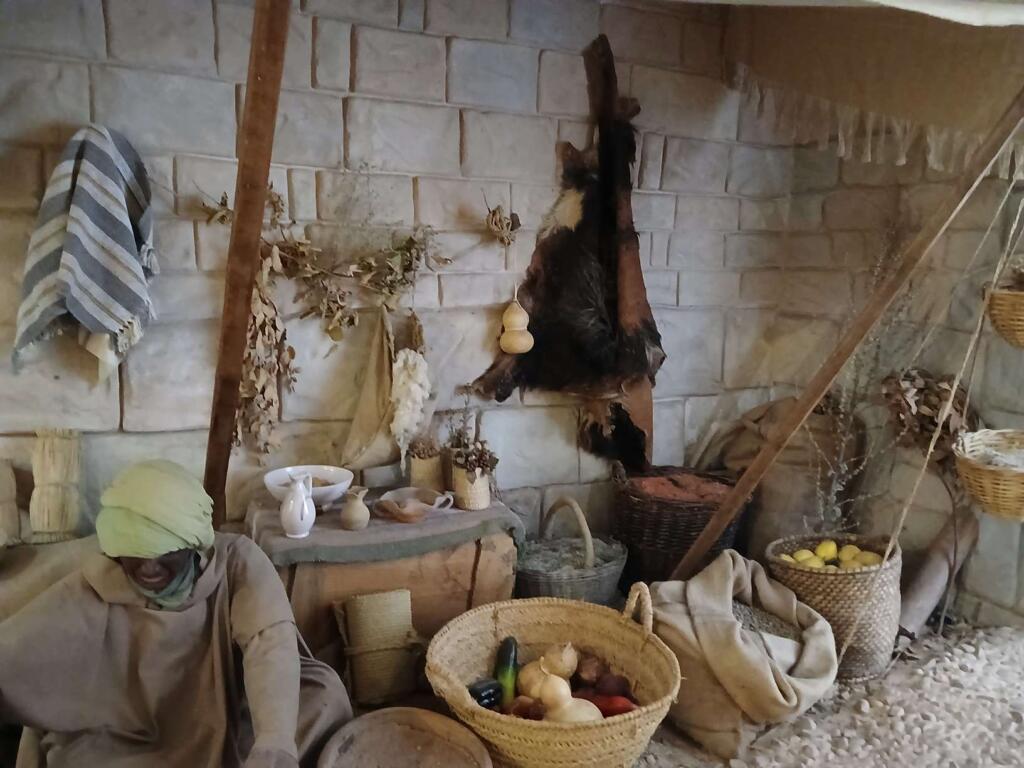 Galería Museo