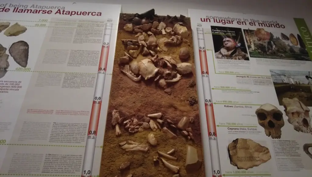 Galería Museo