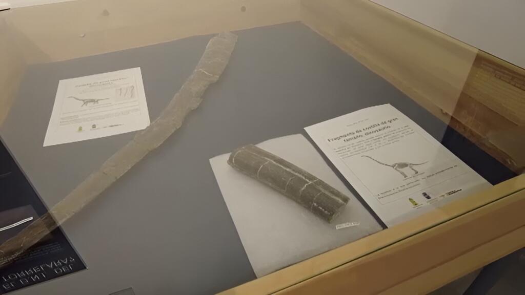 Galería Museo