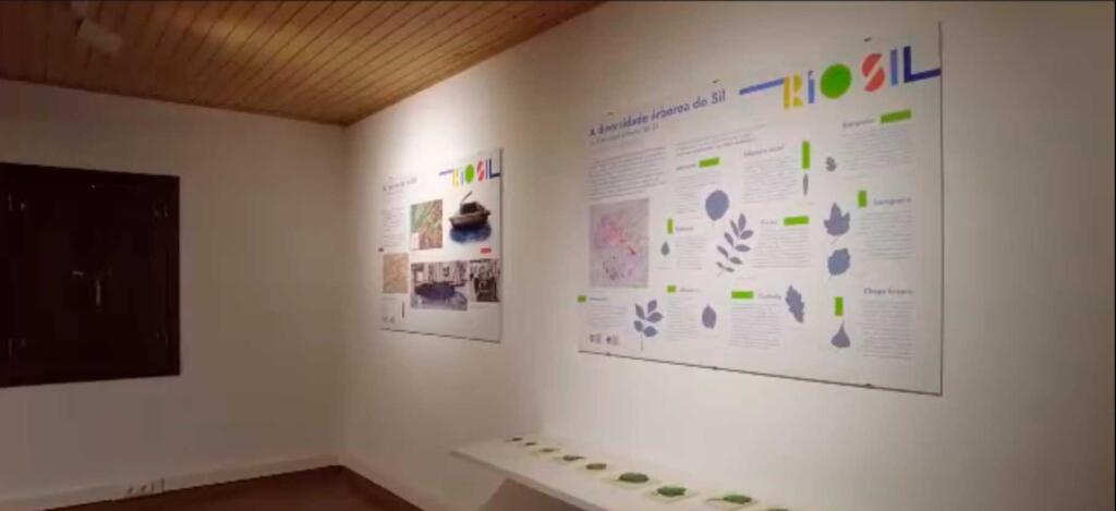 Galería Museo