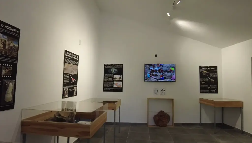 Galería Museo
