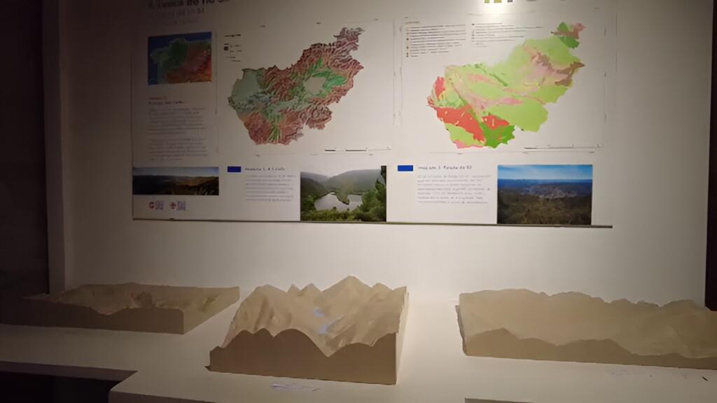 Galería Museo