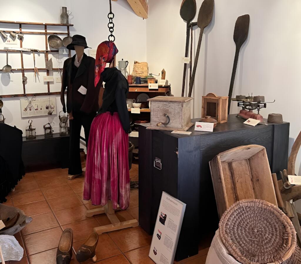 Galería Museo