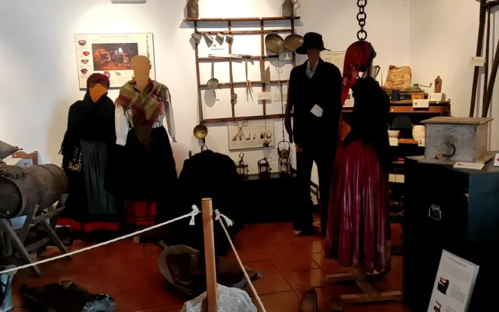 Galería Museo