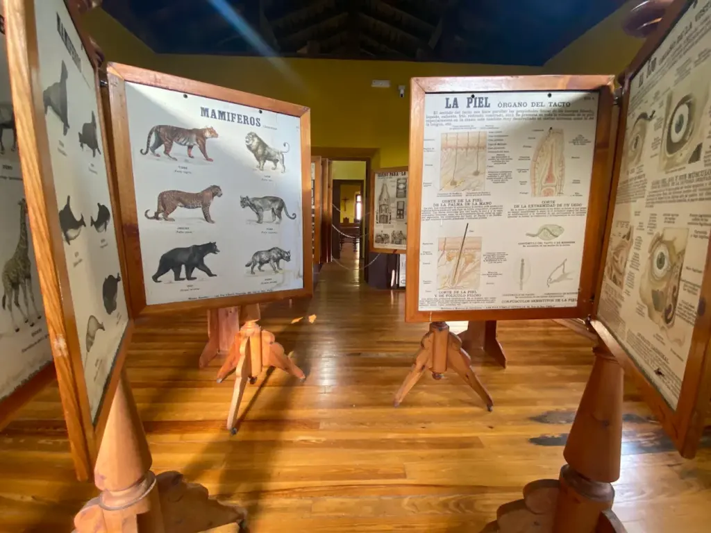 Galería Museo