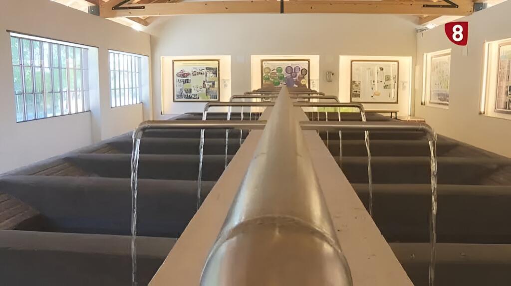 Galería Museo