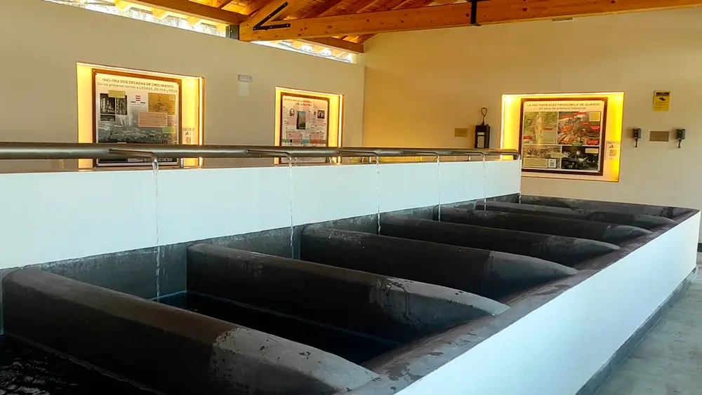 Galería Museo