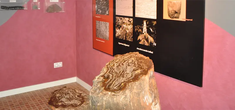 Museo dia de Escuale Marzas