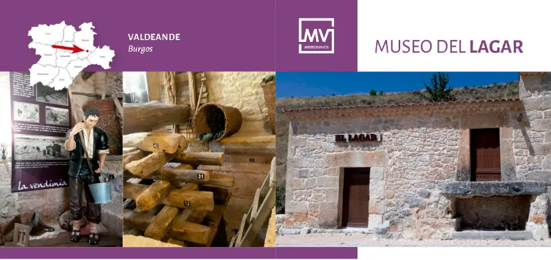 Banner del Museo del Lagar en Valdeande, Burgos, con la fachada de piedra del edificio tradicional y elementos de la vendimia en su interior.