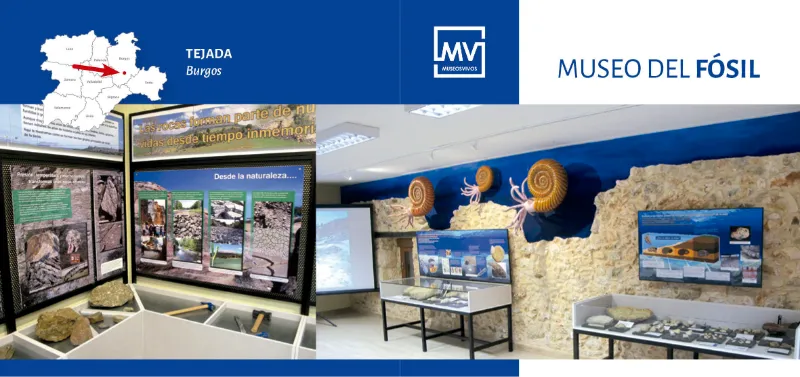 Banner del Museo del Fósil en Tejada, Burgos, con paneles informativos sobre geología y vitrinas con fósiles expuestos.