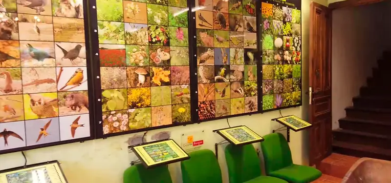 Interior del Centro del Molino y la Fragua en San Miguel de Pedroso, Burgos, con paneles divulgativos de flora y fauna en la pared y asientos verdes.