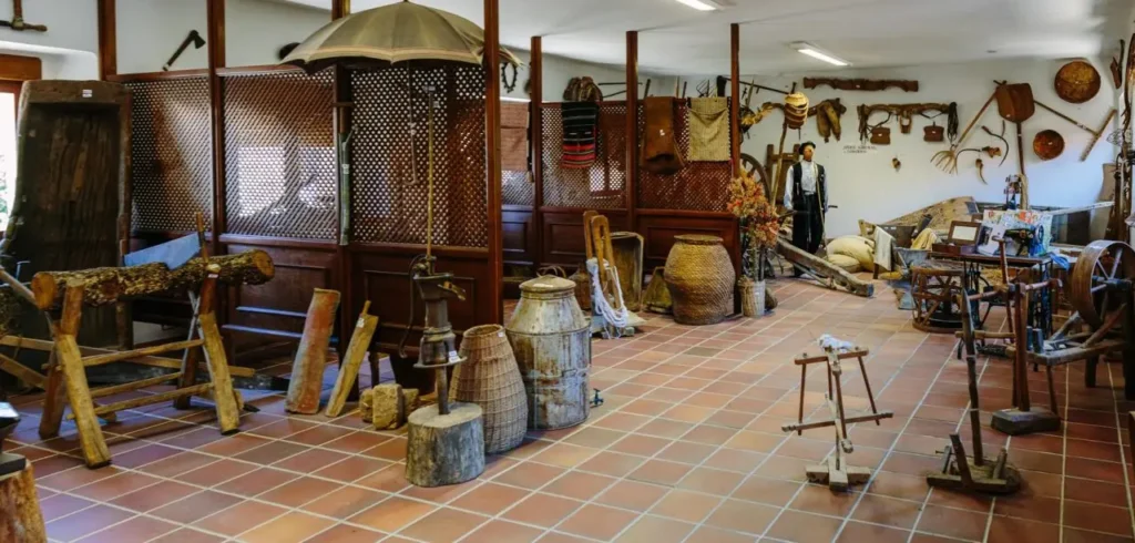 Galería Museo