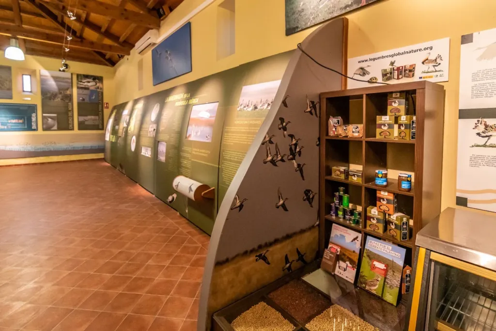 Galería Museo