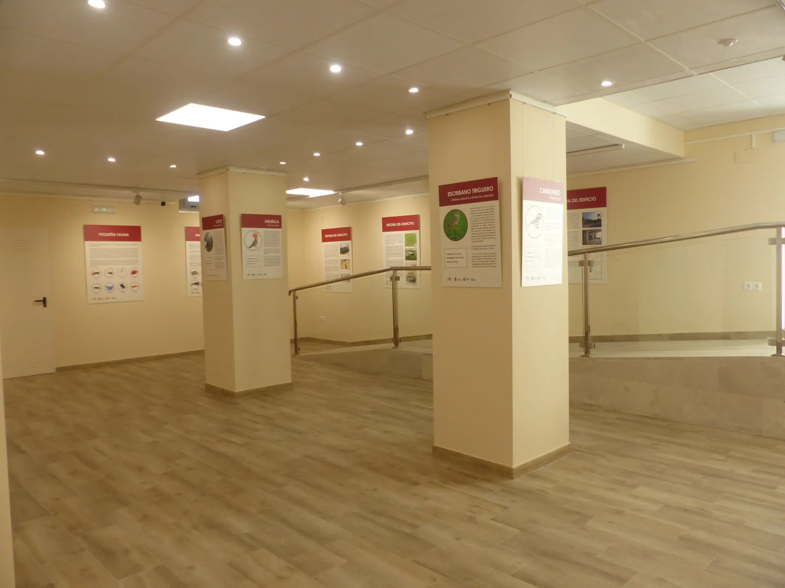 foto 8 torresandino