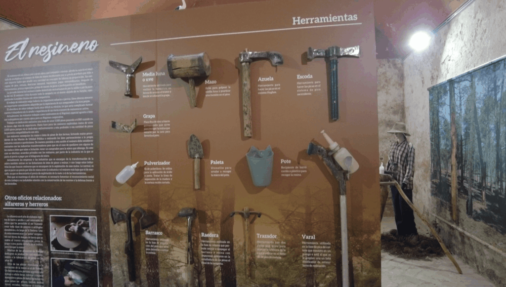 Galería Museo