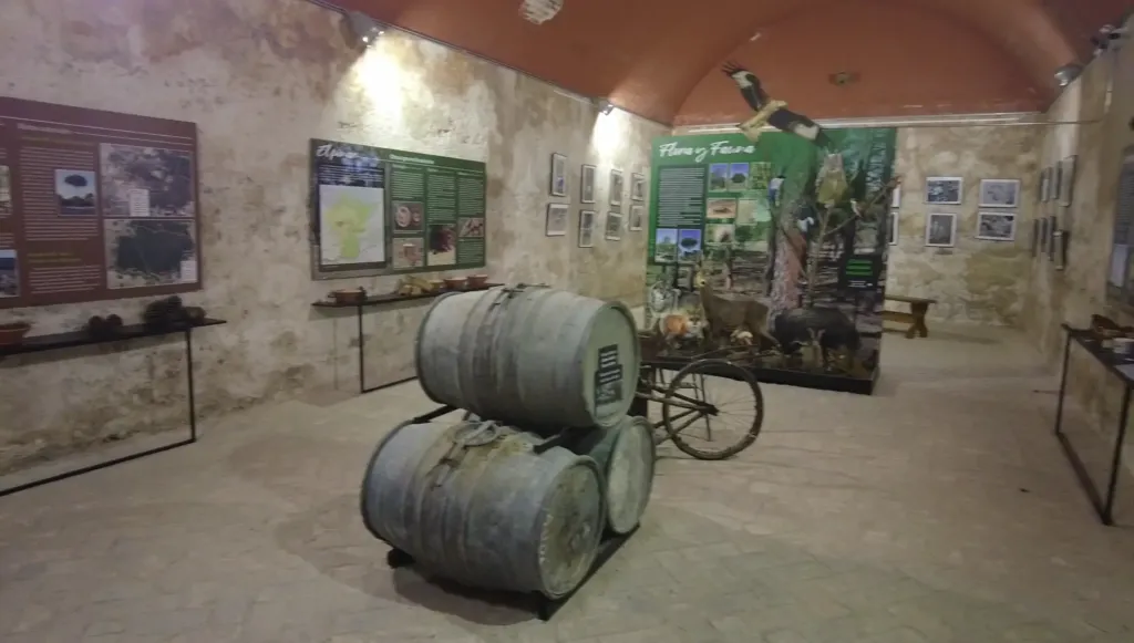 Galería Museo