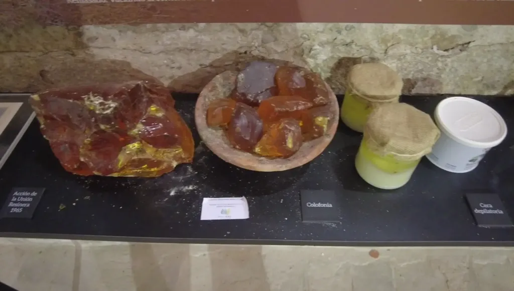 Galería Museo
